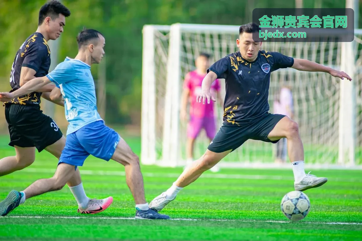金狮贵宾会战略咨询